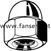 DIN1587 Hexagon Domed Cap Nut  六角蓋帽