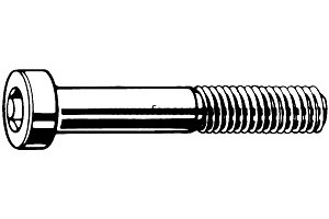 DIN7984 Hexagon Socket Thin Head Cap Screws 薄型內六角螺釘